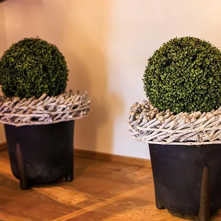 Apartmán Goldregen - Waldnah Mit Kamin Und Balkon *