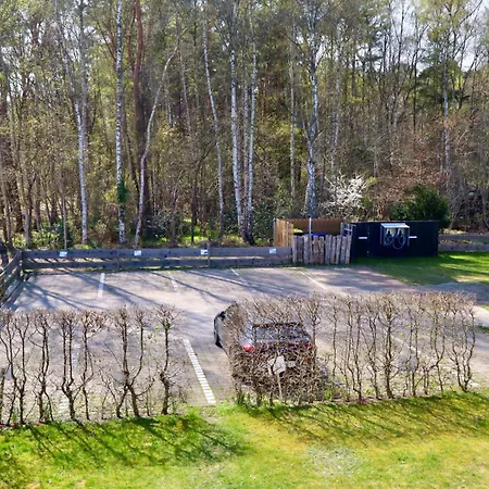 Goldregen - Waldnah Mit Kamin Und Balkon * Zingst